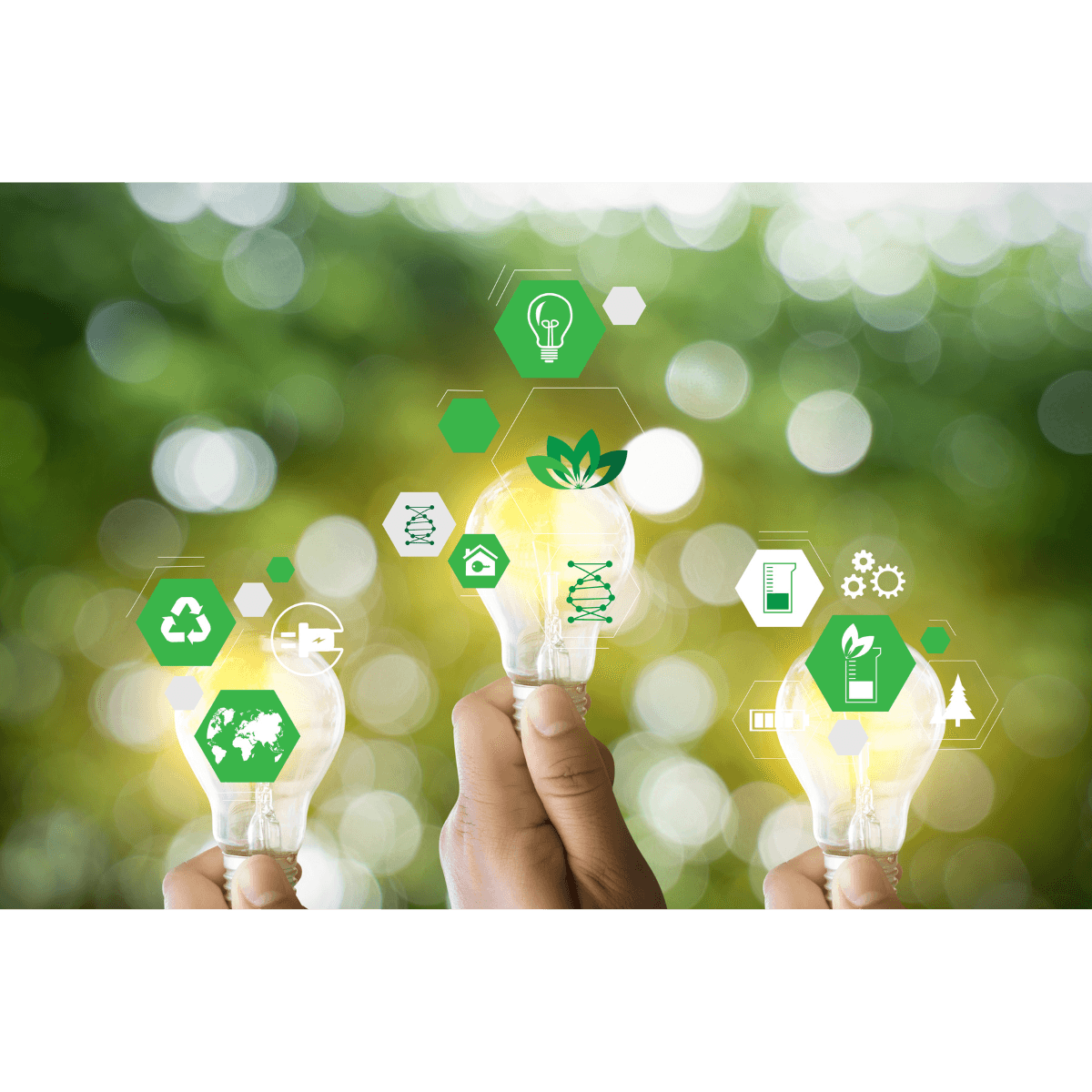 A more sustainable future